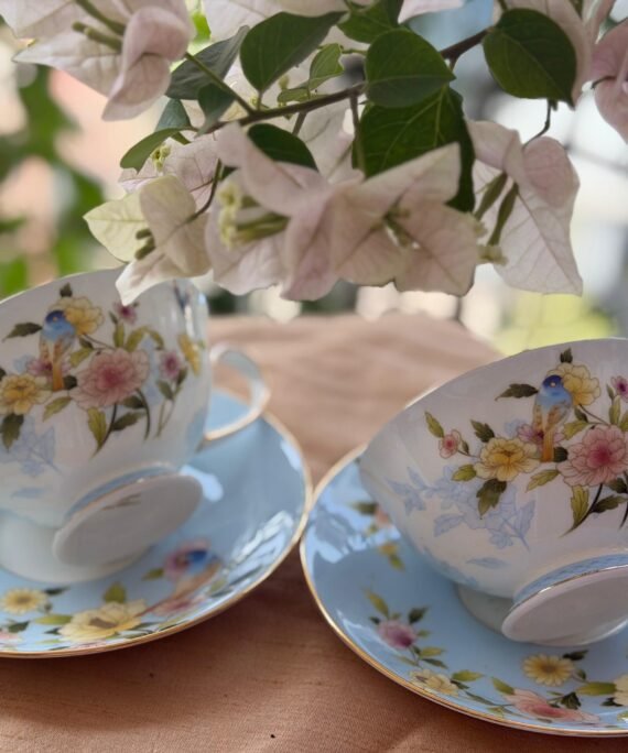 Narumi Ramage Tea/Coffee Cup & Saucer Set of 2 piece