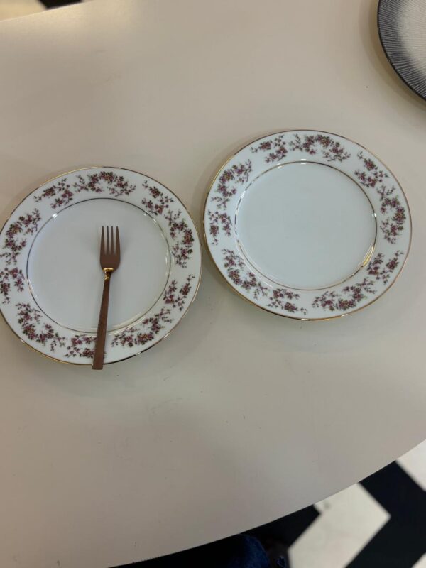 Dankotuwa Rose Garden Dinner Plate