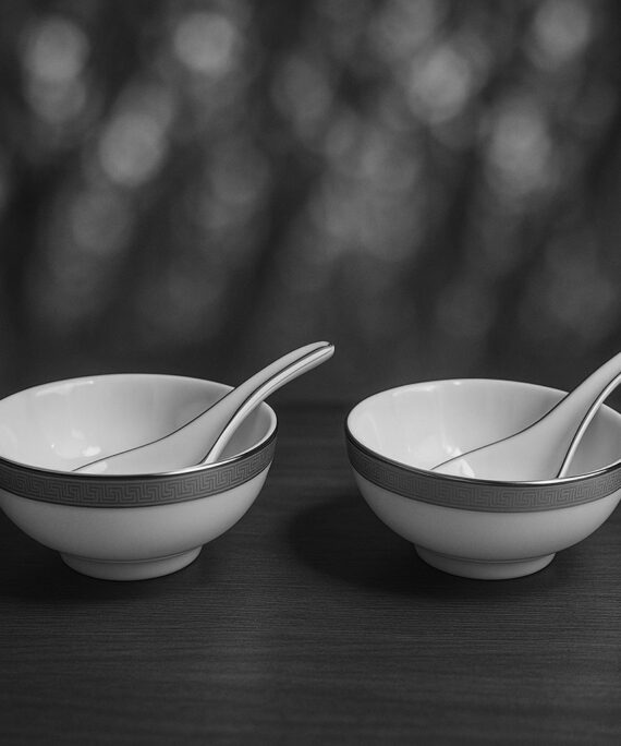 Dankotuwa Greek Key Platinum Set of 2 Soup Bowls with Spoon
